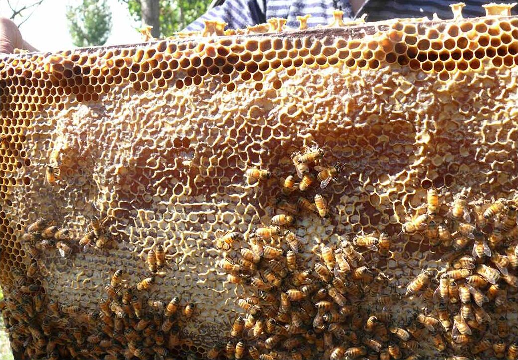 Мед Ксиаоми Superdm Life Square Qinling Soil Honey 250g