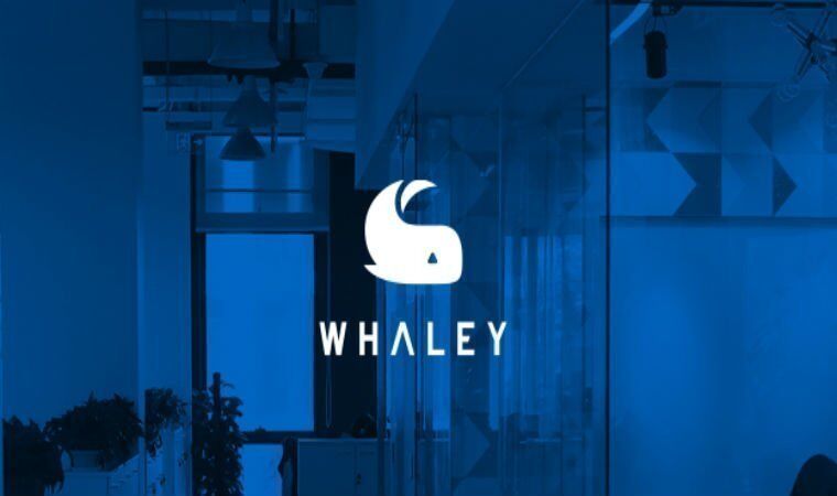 Логотип компании - синий кит