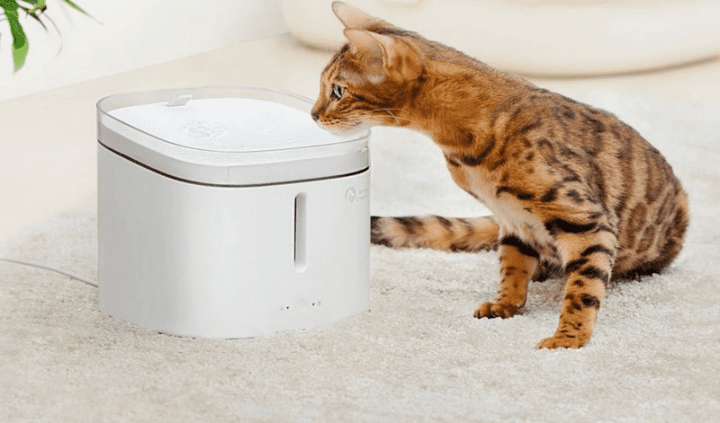 Пример использования умной поилки для животных Xiaomi Kitten&Puppy Pet Water Dispenser
